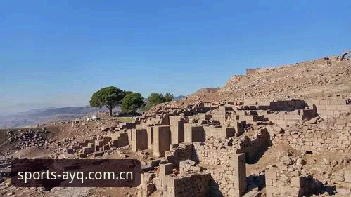 世界杯观赛障碍：4个关键因素让约旦土耳其球迷赴美之旅受阻