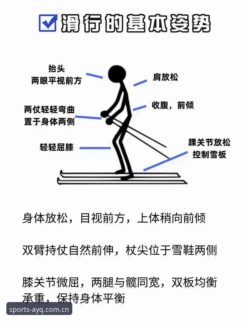 掌握AYQ体育最新版本使用的关键：从入门到精通的实用指南